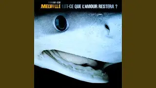 Allez allez