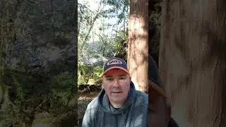 Trail cam update 9, #deadbatteries #trailcam #dogwalk