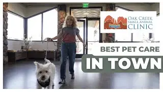 Oak Creek Small Animal Clinic | Top Rated Pet Care in Sedona for 22 Years!