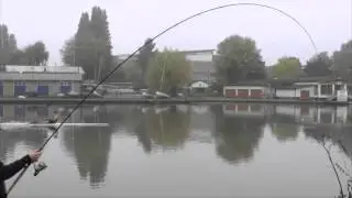 Tackle Fanatics TV - Preston C Series 13ft Float Rod