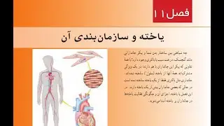 تدریس کامل فصل 11 علوم هفتم - یاخته و سازمان بندی آن - همراه با سید رضا واقفی