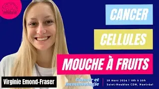 Virginie Emond-Fraser - Les mouches: des alli&eacute;es inattendues dans la lutte contre les cancers!
