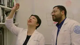 HSS Researchers Discover Immune Cell Dysfunction Linked to Photosensitivity