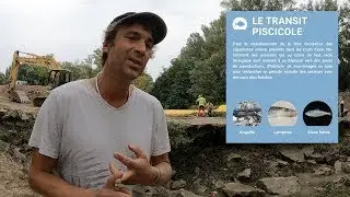 🐟 Река: стирание порога, восстановление гидроморфологии, транзит рыбы и электрическая рыбалка