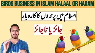 is the birds business Legal or illegal in Islam ...? (Vd:60)