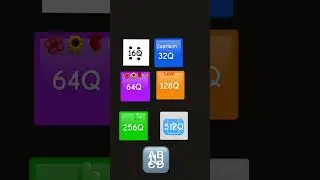 New jelly run 2048 16Q -1U