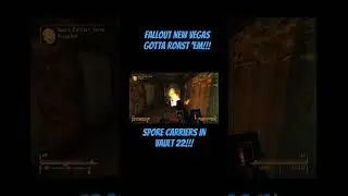 Fallout New Vegas- Gotta Roast &lsquo;Em  #falloutnewvegas #fallout #creepy #glitch