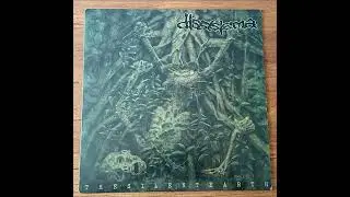 DISSYSTEMA 