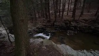 Beautiful Place 4-11-19 Spring Brook
