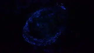 Sea of Stars | Bioluminescent Planktons in Maldives | Redhan-lun