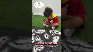Learning through Play 🌍💫     #wildlifeadventures  #natureexplorers   #kid #dubai