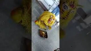 funny pedda puli video