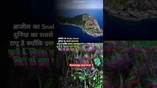 दुनिया का सबसे खतरनाक आइलैंड कौनसा है🧐 #shorts #brazil #island #islandlife #snakes