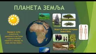 OŠ VII – Biologija, 9. čas - Raznovrsnost u carstvu biljaka
