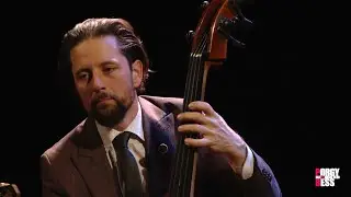 Frische Minze - Diknu Schneeberger Trio