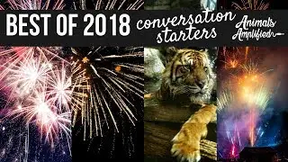 2018 Conversation Starters