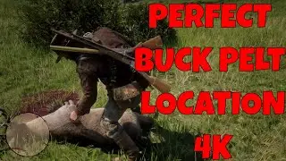 BUCK PERFECT PELT LOCATION (EASY) RED DEAD REDEMPTION 2 | 4K UHD
