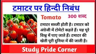 Essay on Tomato | Essay on Tomato in Hindi | Tamatar Par Nibhand | टमाटर पर हिन्दी निबंध
