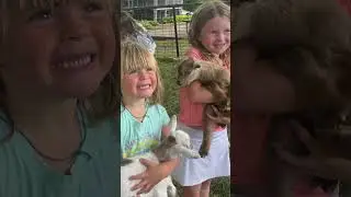 Carver County Fair, 2024