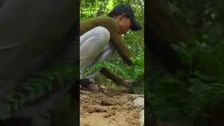 Girl Living Off The Grid Built The Most Secret Underground Home Shelter