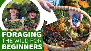 Foraging & Wild Harvests For Beginners with Year Of Plenty