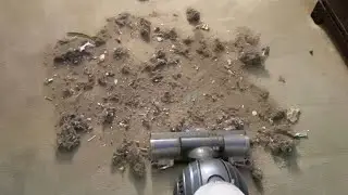 Gritty Spread Mess, Natural Dirt Crunch, & Natural Vacuuming ❣️ | Workhorse, Dyson, Shark | NDQ 🦋