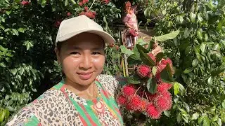 Mencari Buah Empasa ,Buah Rambutan & Pelbagai Sayuran Di Kebun Cousin