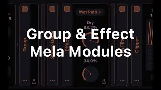 Introducing Mela's Group & Effect Modules