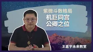 【紫微斗数格局#22】机巨同宫，公卿之位｜王嘉宇未来教室