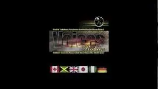 Turbulence - Be Wise - Voices Riddim Compilation