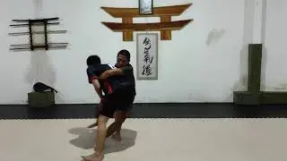 Practical self defense top to ground