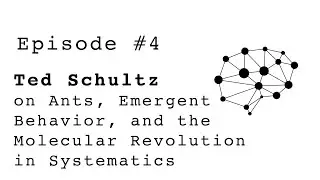 Ted Schultz on Ants, Emergent Behavior, and the Molecular Revolution in Systematics - Episode #4