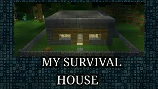 Minecraft:survival house