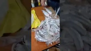 Pajerey