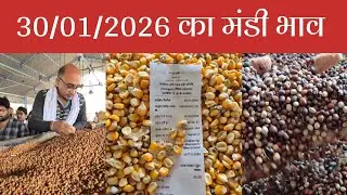 30/01/2026, कृषि उपज मंडी, खातेगांव, जिला-देवास, मध्यप्रदेश।