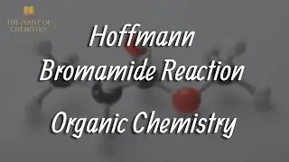 Hoffmann Bromamide Reaction | Important Reaction | BSP Sir | The Point Of Chemistry