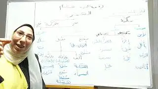 وقف حمزة وهشام  ج٢