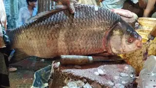30 KG Giant Katla Fish Cutting Skills Live at knife in Bangladesh Fish Market | Catla Fish Cutting |