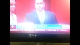 Zimmerman trial verdict