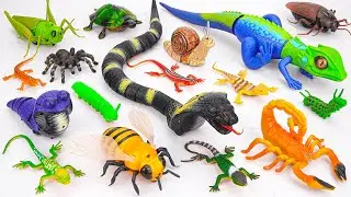 Ultimate ZURU Robo Alive Insects ASMR 🦎 Cobra Snake, Lizard, Scorpion, Worm (No Talking)