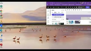 2b Adobe Express Presentation (using a remixable template) Assignment
