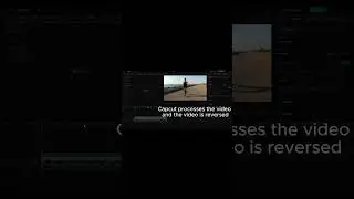 How to reverse Video in Capcut