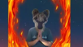 Roasting your fursona