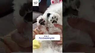 All-in-1 Pet Grooming Kit - Waterproof & Whisper Quiet #doggroomingtips #bestpetsupplies #pets