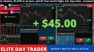 ELITE DAY TRADER +$45.00