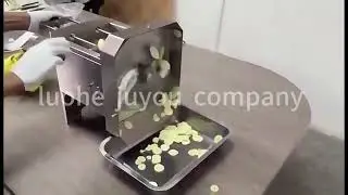 banana chips machines