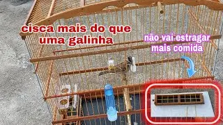 seu tico tico não vai mais derramar comida com essas dicas