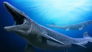Mosasaurus - a Monster from the Deep