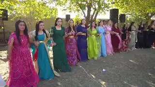 ROJİN & AHMET OTKAN AİLESİ DÜĞÜN PART 2( ŞÊR PRODUCTİON )