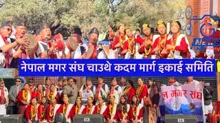 पोखरा महोत्सवमा नेपाल मगर संघ चाउथे कदम मार्ग इकाई समितिले प्रस्तुत गरेको लाइभ कौरा हेर्नुस ।